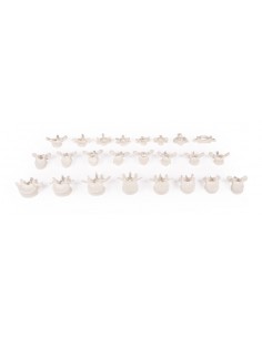 Erler Zimmer, collezione di...