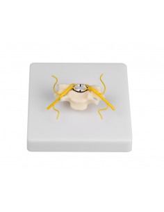 Erler Zimmer, modellino...