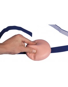 Simulatore per l'iniezione...