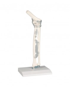 Erler Zimmer, modello...