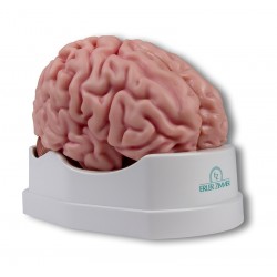 Erler Zimmer, modello...