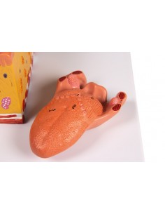 Lingua e tessuti della...