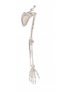 Erler Zimmer modello...