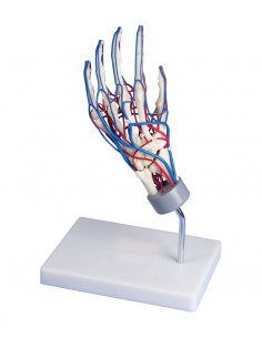 Erler Zimmer, modello...