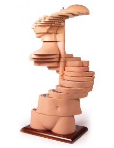 Torso a fette a dimensioni...