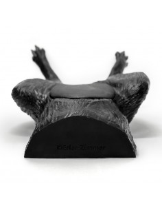 Simulatore ecografico della...