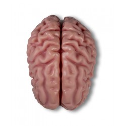 Erler Zimmer, modello... 2