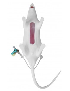 Manichino di topo Natsume...