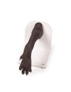 Zampa di cane per... 2