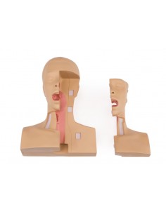 Simulatore medico per la... 2