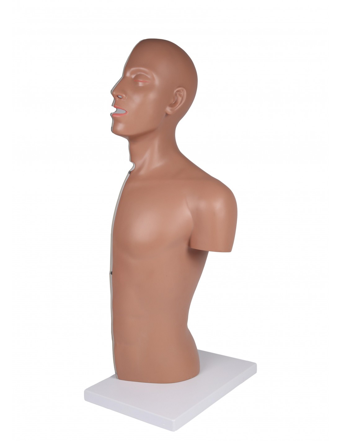 Torso per esercitazioni di sondino... Torso per esercitazioni di sondino...