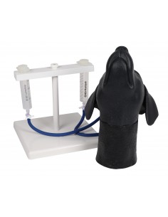 Simulatore di testa di cane...