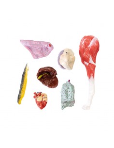 Modello di Cane (Pastore...