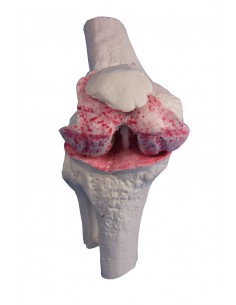 Erler Zimmer, modello... 2