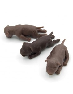 Set di tre cuccioli per...