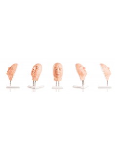 Simulatore per iniezioni... 2