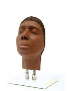 Simulatore per iniezioni...