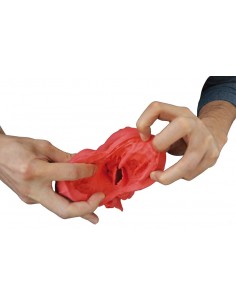 Modello didattico di cuore...