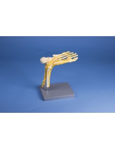 Erler Zimmer, modello... 2