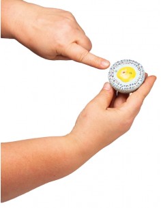 Modello anatomico di Ovaia...