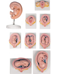 Set completo gravidanza, 9...