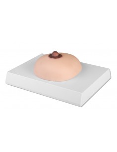 Simulatore per palpazione...