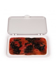 Moulage e simulazione di... 2