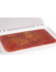 Moulage e simulazione di...