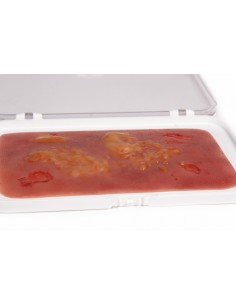 Moulage e simulazione di... 2