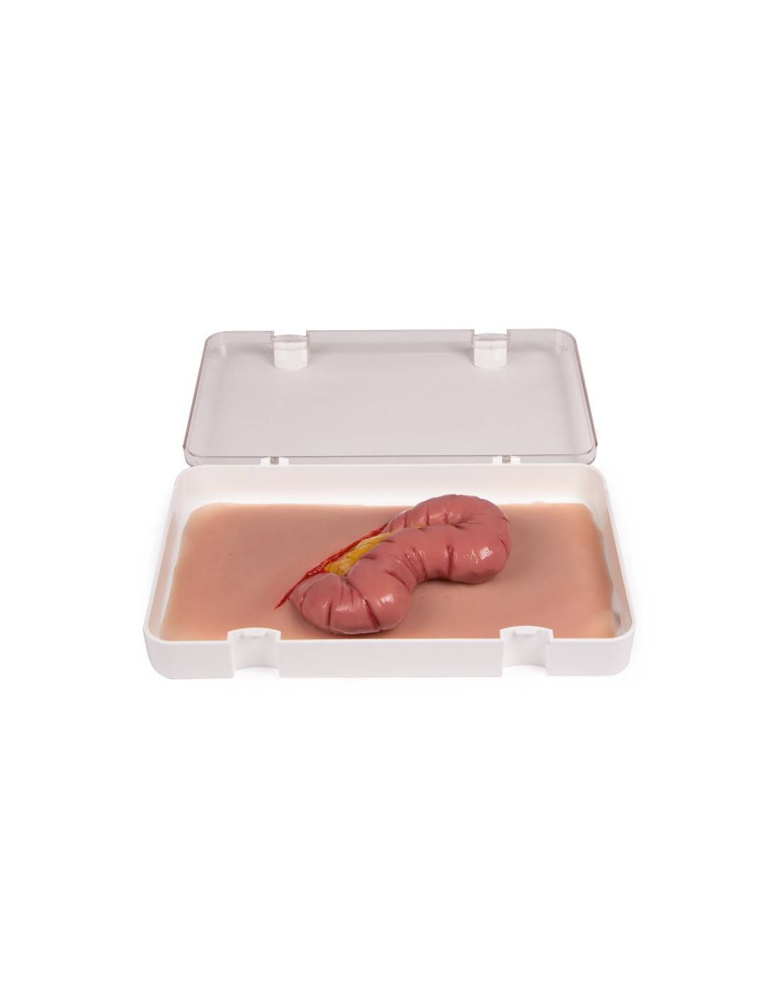 Moulage e simulazione di ferita... Moulage e simulazione di ferita...