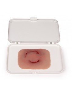 Moulage e simulazione di...