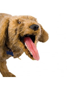 Manichino di Cane per...