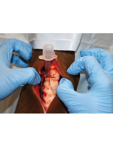 Simulatore per la tracheotomia del...