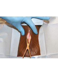 Simulatore per la... 2