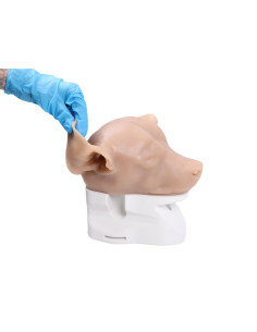 Simulatore per Otoscopia... 2