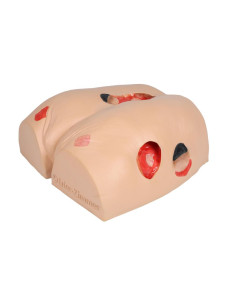 Simulatore di ulcere da... 2