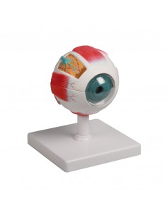 Erler Zimmer,  modello...