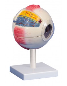 Erler Zimmer,  modello... 2