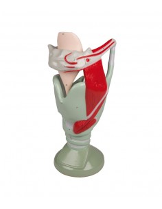 Erler Zimmer, modello...