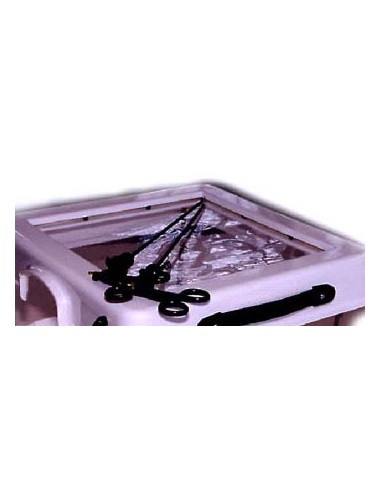 Erler Zimmer, modello anatomico di... Erler Zimmer, modello anatomico di...