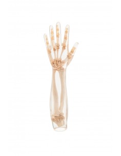 Simulatore per radiologia -... 2