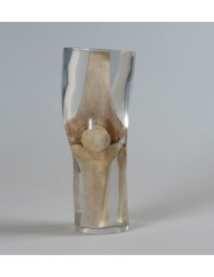 Erler Zimmer, modello...