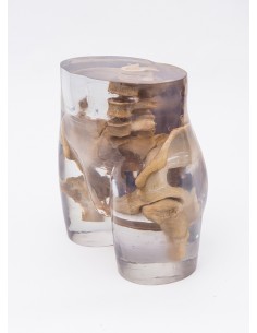 Erler Zimmer, modello...