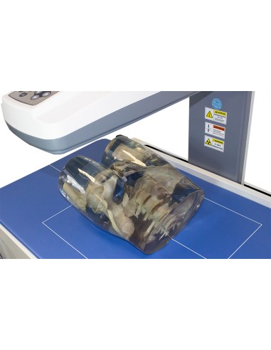 Simulatore per radiologia - Bacino e...