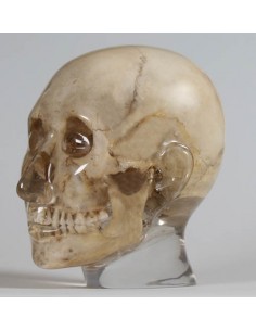 Erler Zimmer, modello...