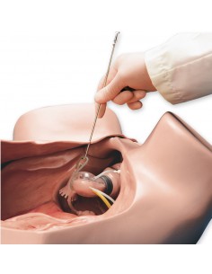 Simulatore per Ginecologia...