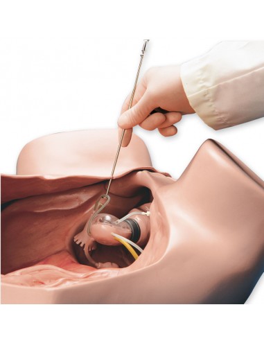 Simulatore per Ginecologia -...