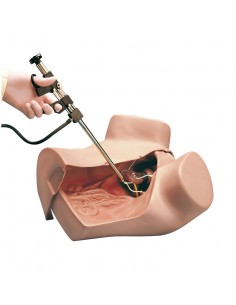 Simulatore per Ginecologia... 2
