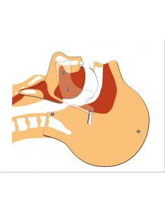 Simulatore per respirazione... 2