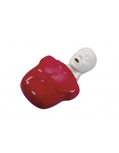 Basic Buddy, simulatore... 2